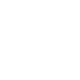 FIAT PROFESSIONAL